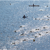 Great Lakes Tri