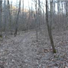 Trail
