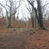 course