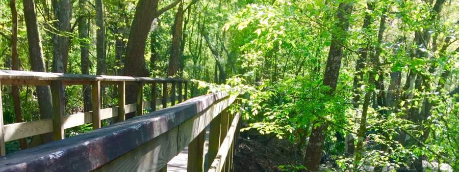 Ogeechee Grit 30k October 6 2019