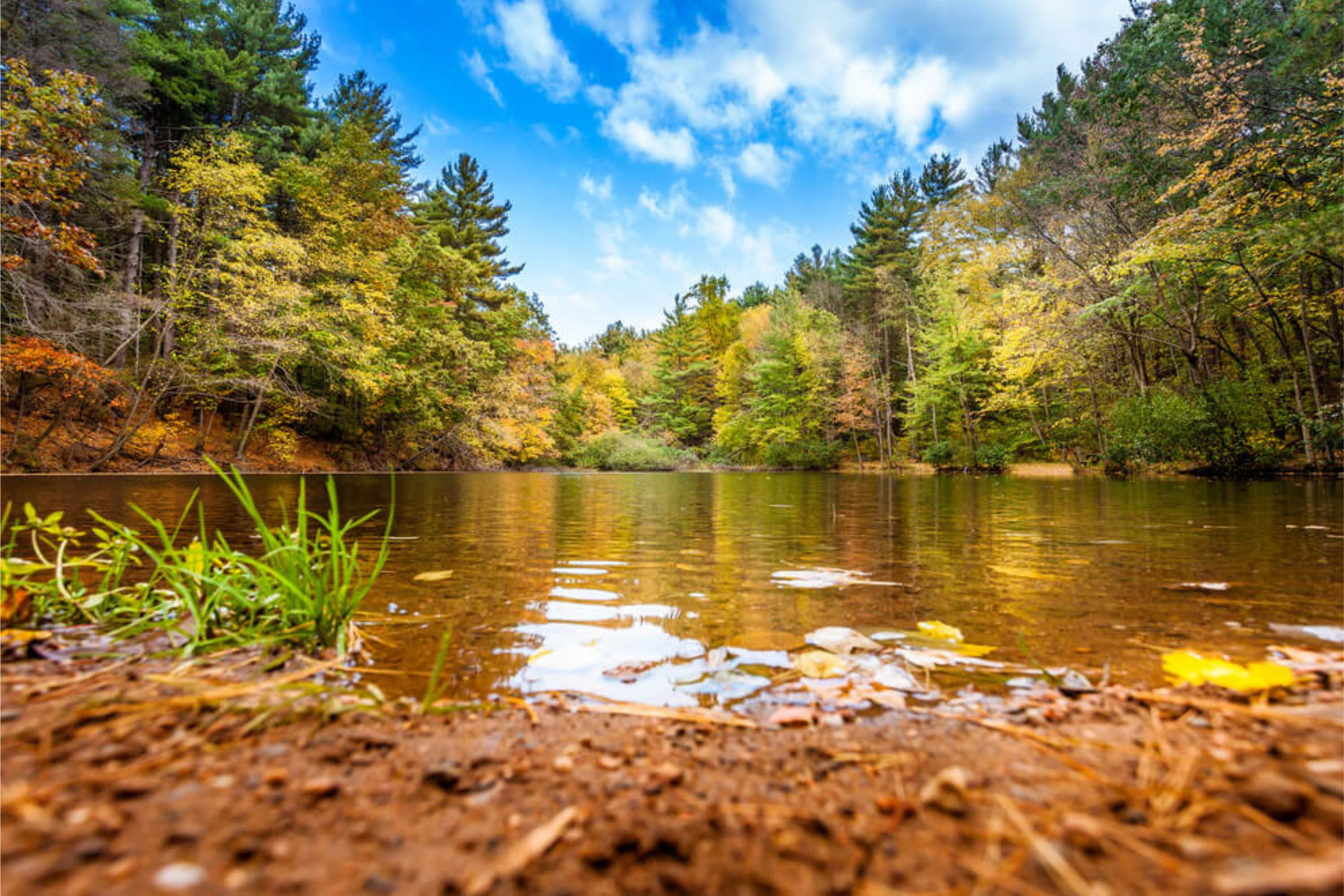Lake Mohegan Trail Race