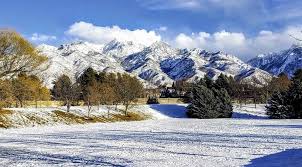 The Wasatch Yard