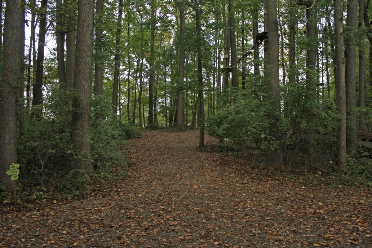 Delaware Trail Fest