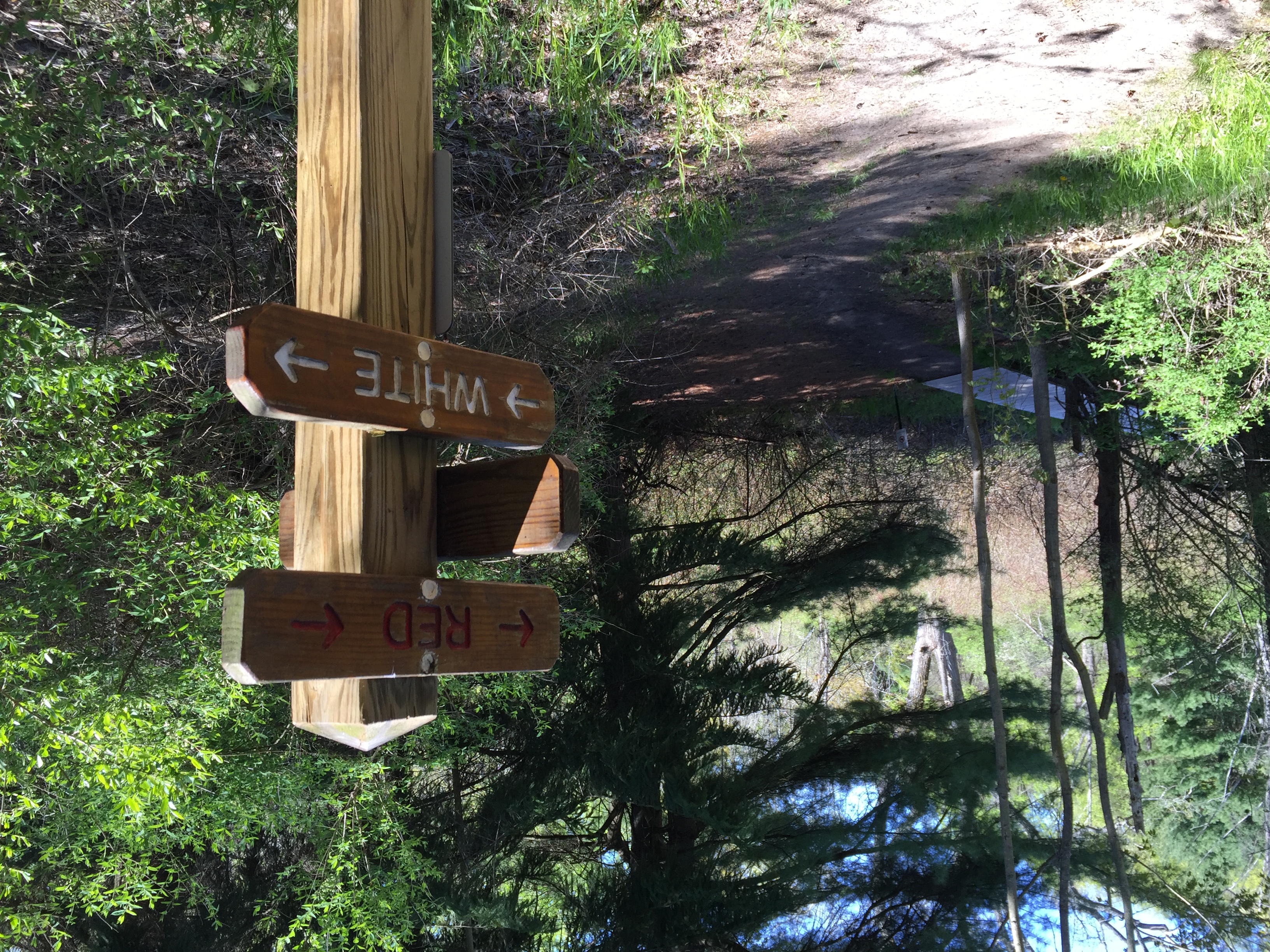 ster Trail Classic June 4, 2016