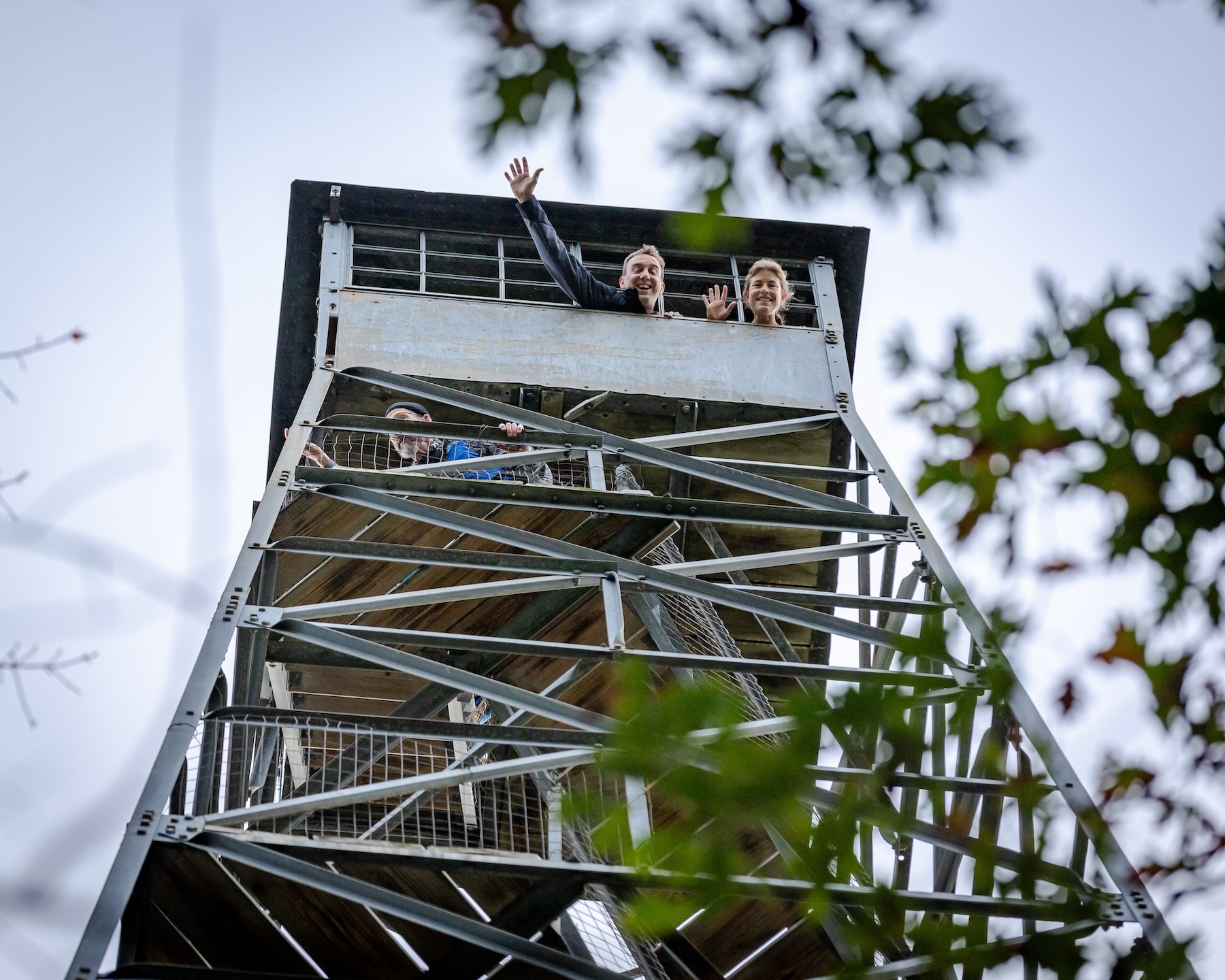 Fire Tower Trail Races