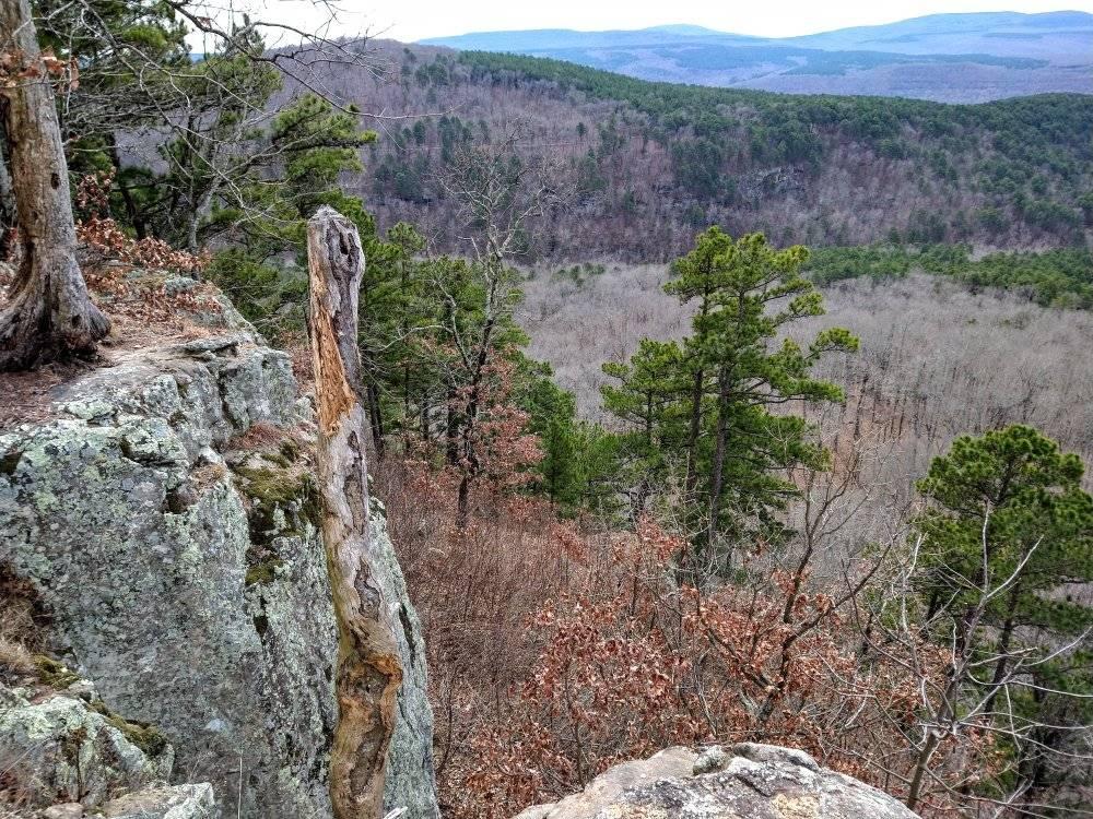 Hare Mountain 100