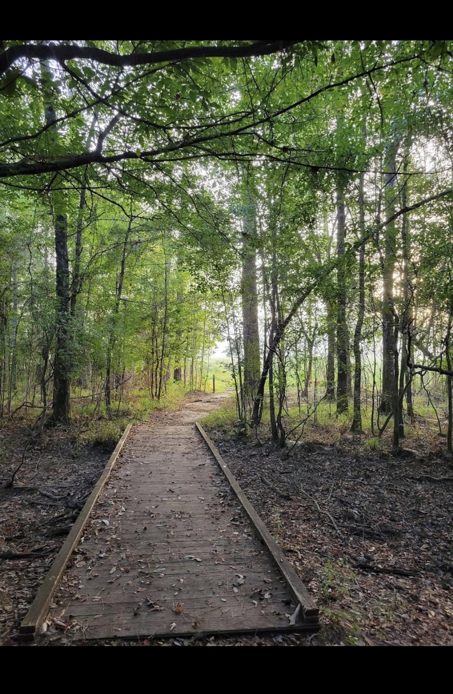 Village Creek trail run 5k-10k
