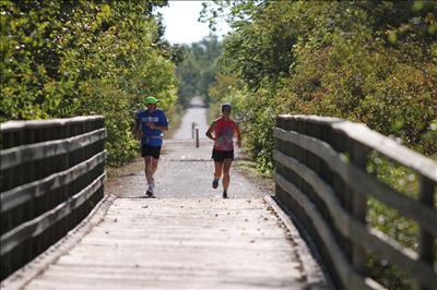 Bohemian Alps 50K