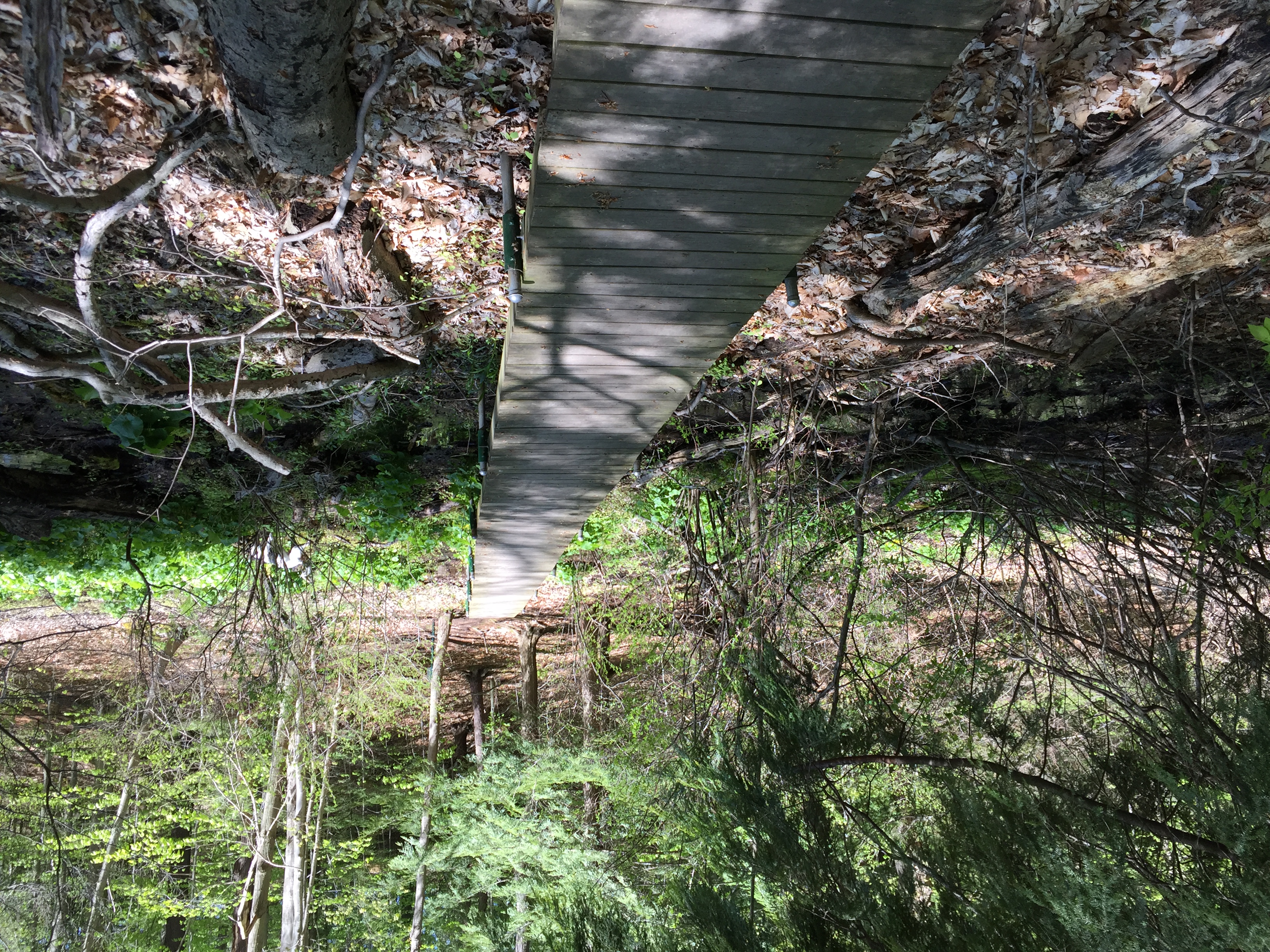 ster Trail Classic June 4, 2016