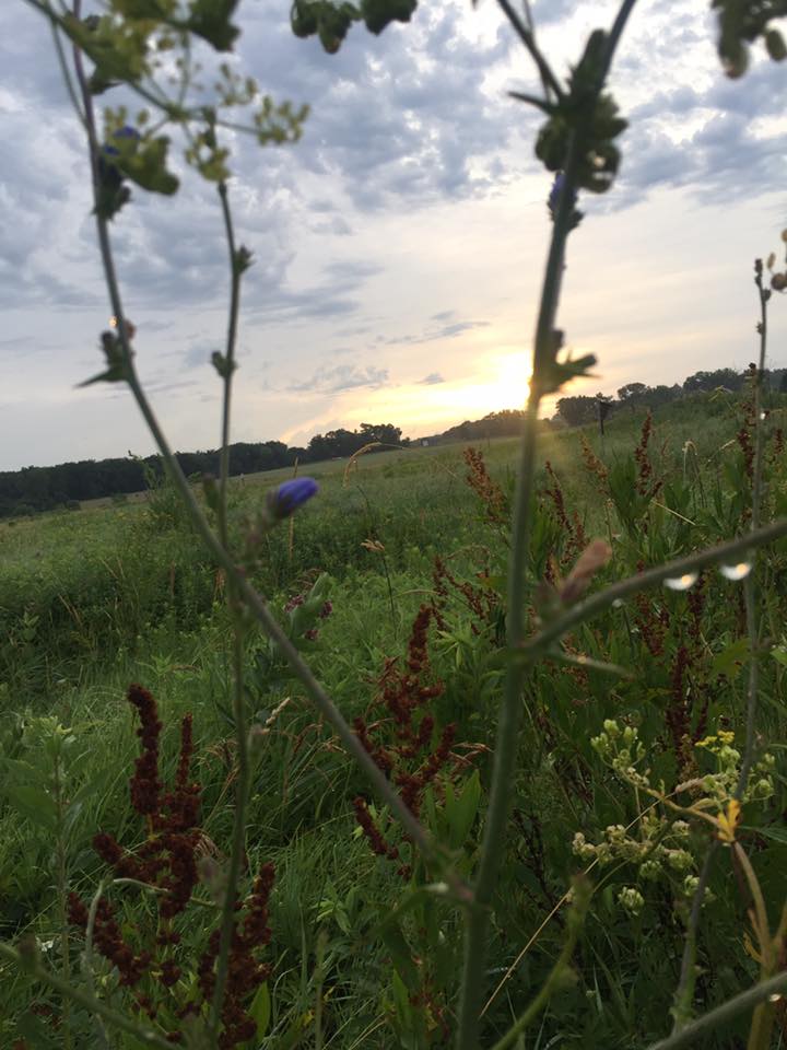 Pleasant Creek Trail Run