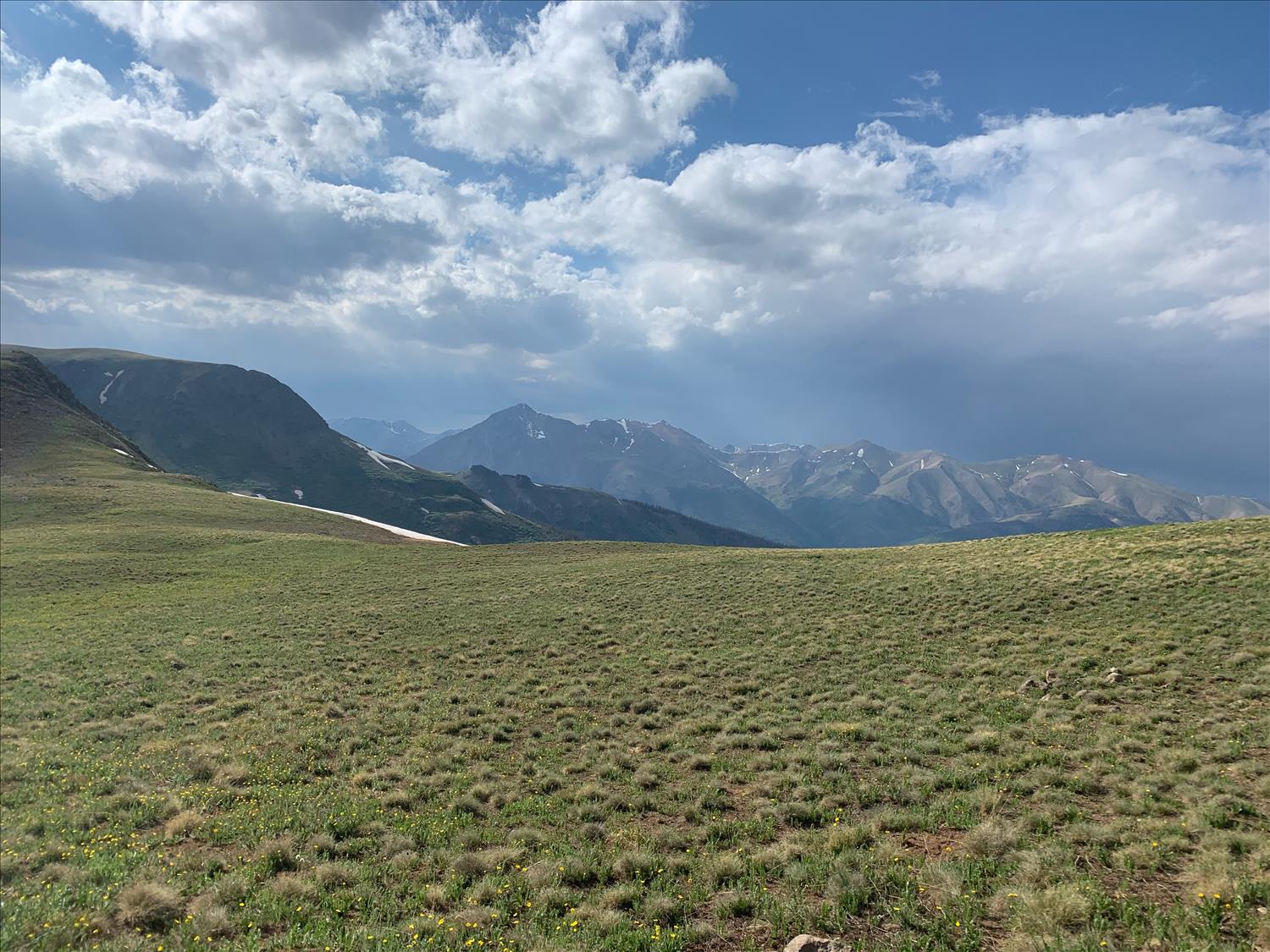 Creede 50/100