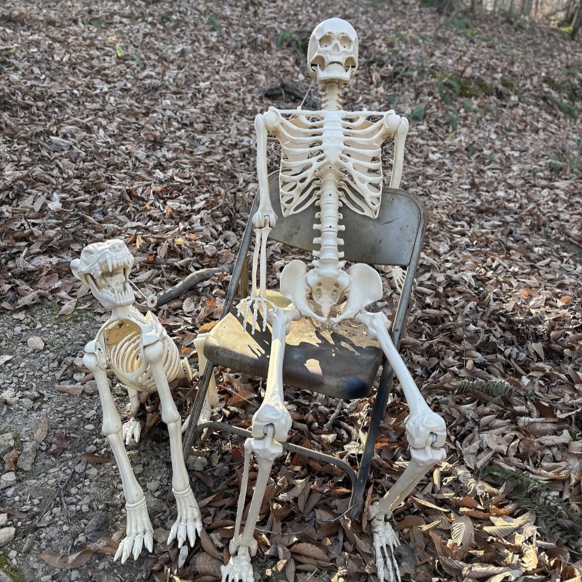 The Murder Mile Halloween Horror