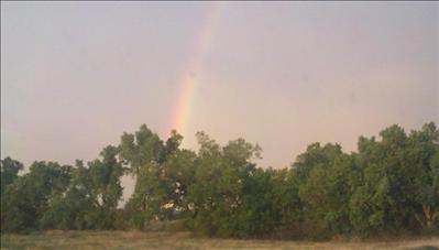 Horsethief Canyon Trail Run