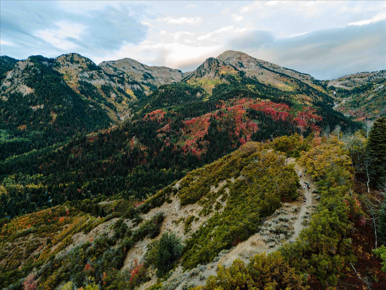 Gaspin Through The Aspens