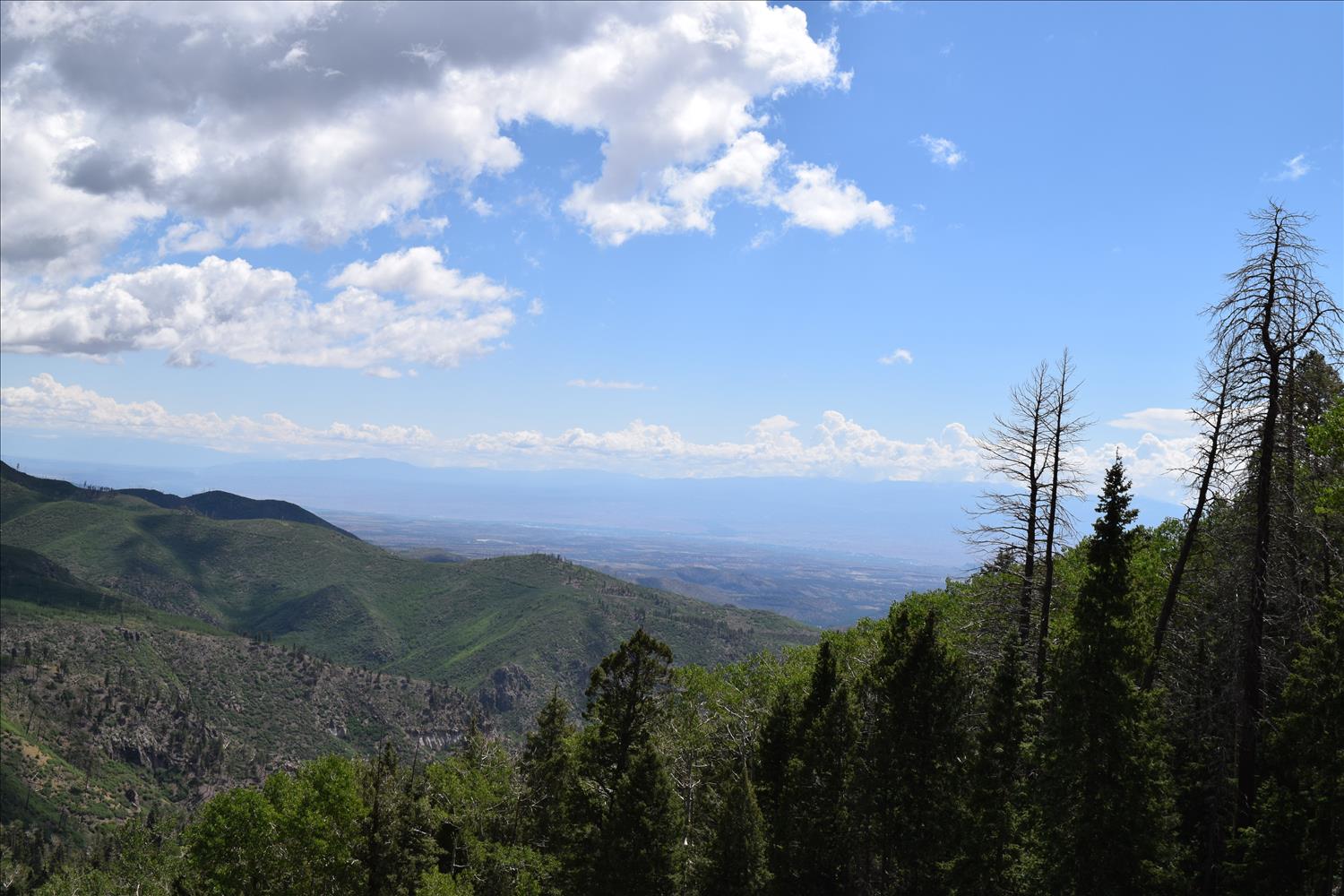 Pajarito Mountain Run