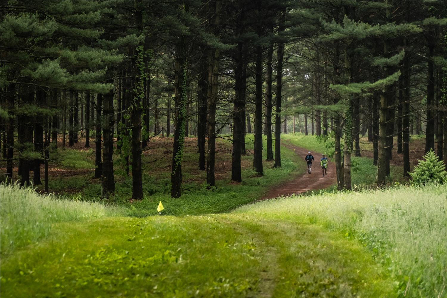 Kettle Moraine