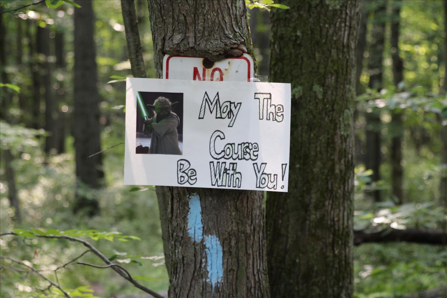 Catoctin 50k Trail Run & Half Cat