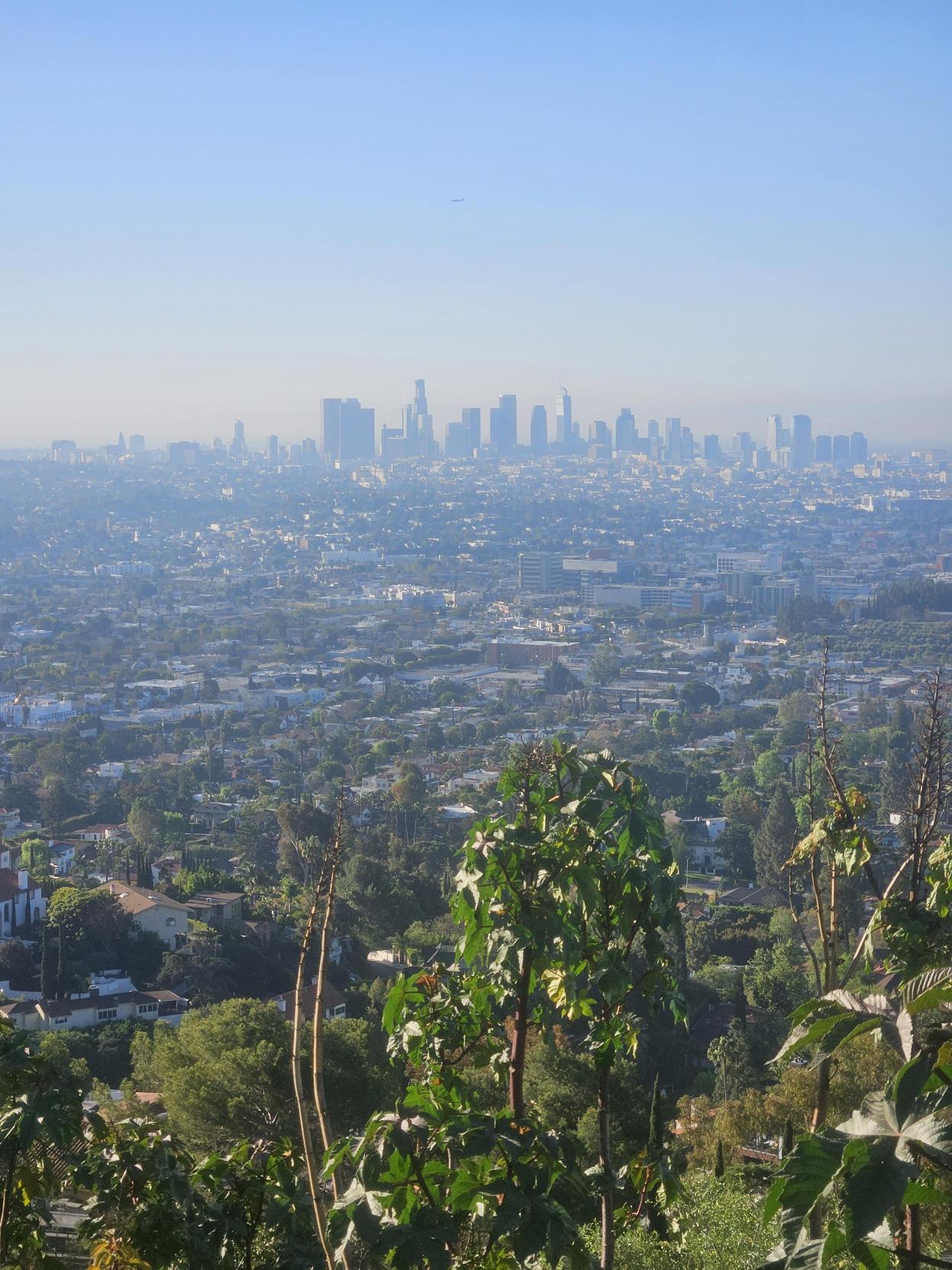 Dirt Circus - Los Angeles