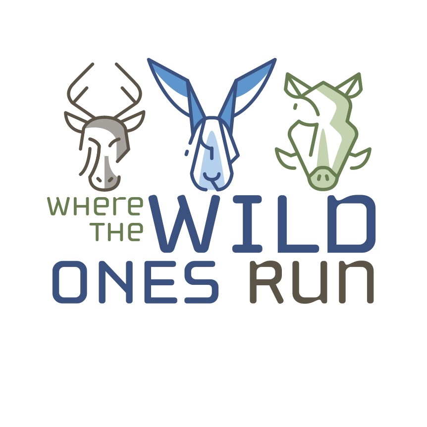 Where the Wild Ones Run