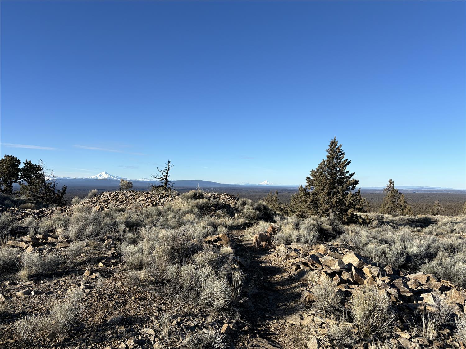 Incline Vista