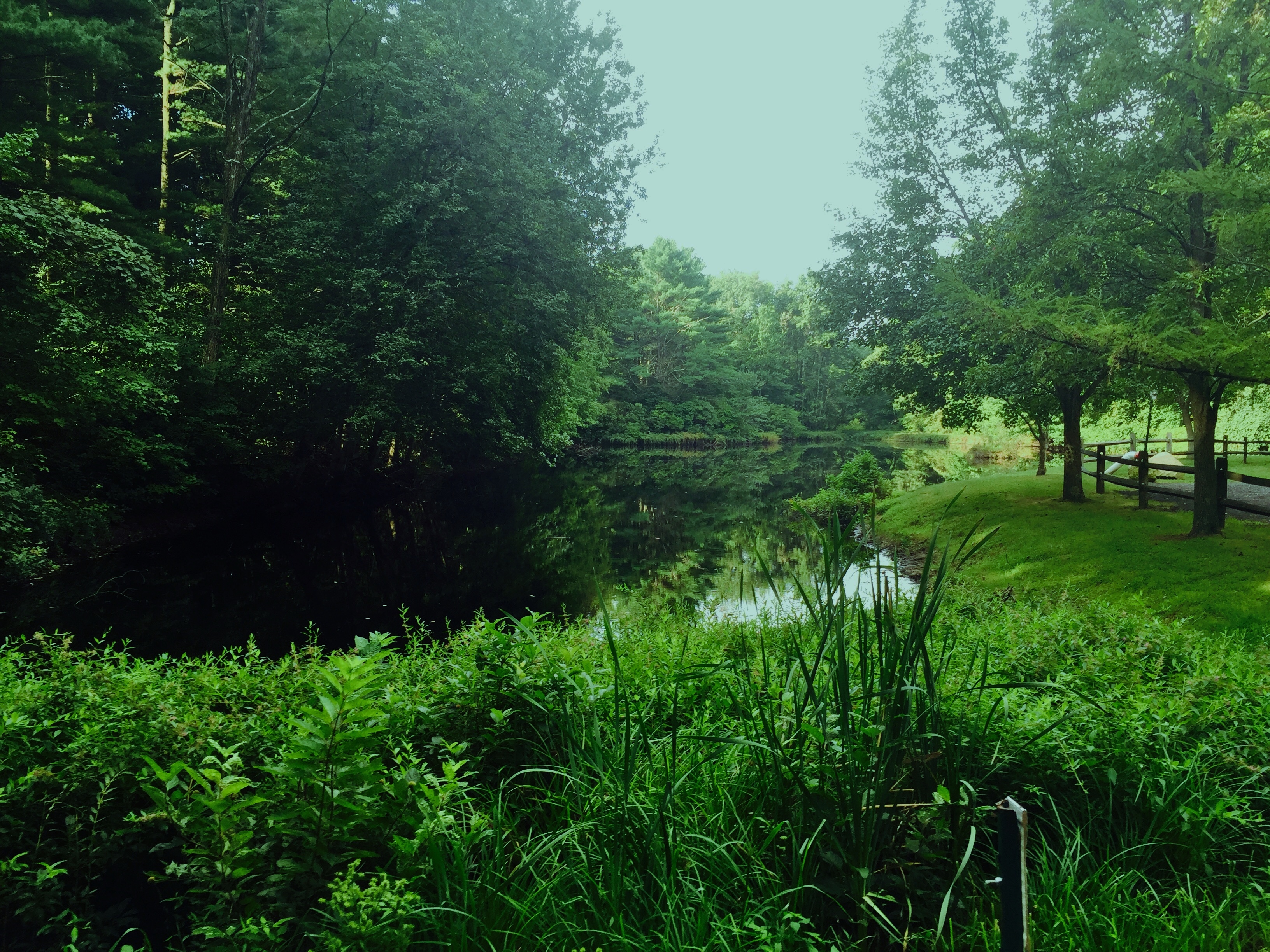 Forest Ultra Run October 1, 2016