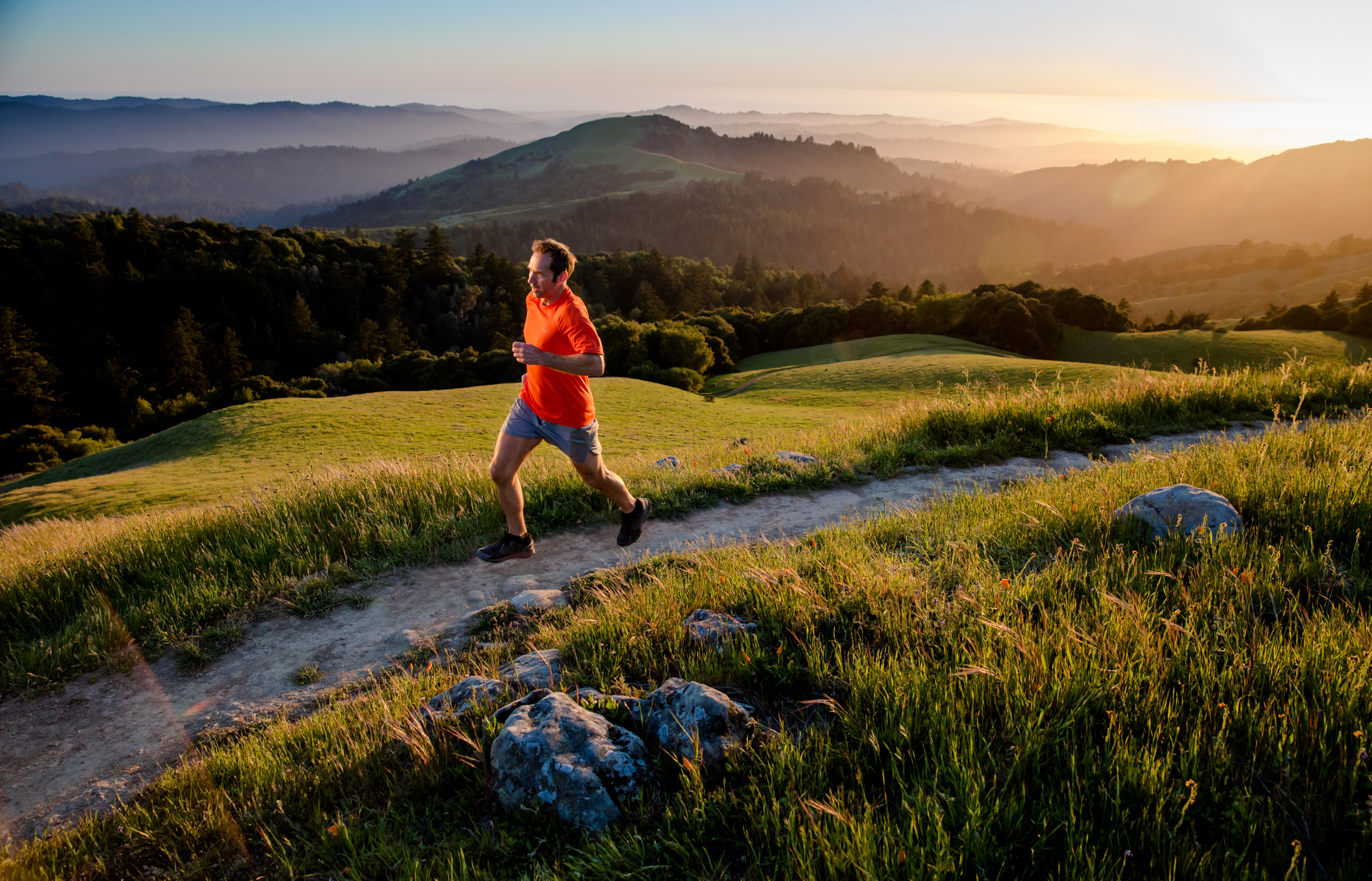 e7bb2d5b 8131 4822 b179 d775415a3bb2