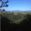 Views of Mount Diablo