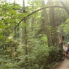 St. Edward State Park