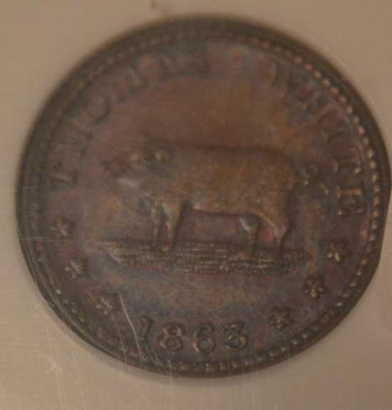1863 NY Thomas White Pig Token NGC MS 62 Brown