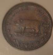 1863 NY Thomas White Pig Token NGC MS 62 Brown