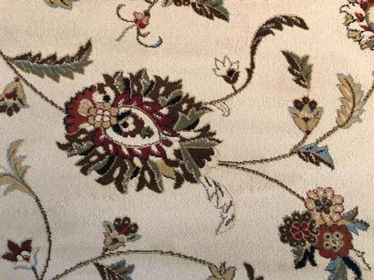 Classic & Elegant  Traditional Design 8x10 Area Rug