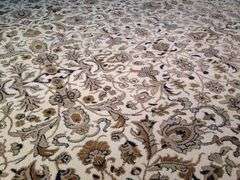 Exquisite  Allover Traditional Area Rug 7x10