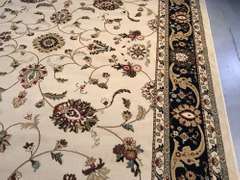 Classic & Elegant  Traditional Design 8x10 Area Rug