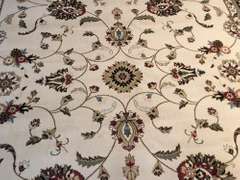 Classic & Elegant  Traditional Design 8x10 Area Rug