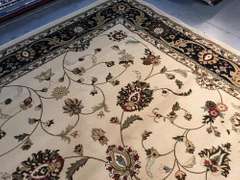 Classic & Elegant  Traditional Design 8x10 Area Rug