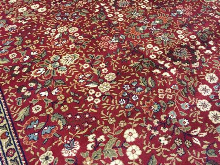 Classic Detailed Traditional Area Rug 7x10