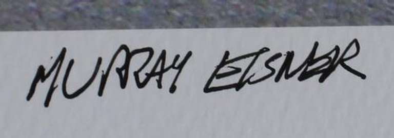 Amazing Murray Eisner Untitled