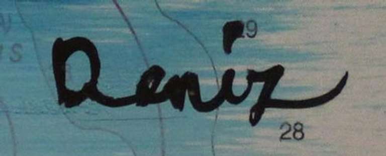 Deniz Incredible San Francisco Bay