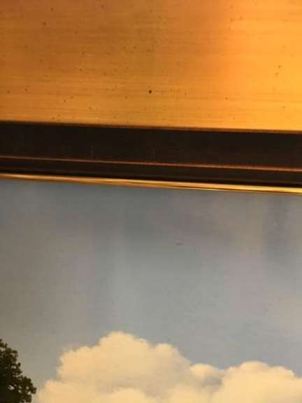 Marco Di Nieri Original Oil on Board