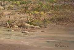 Beautiful original oil By Donald A Peters