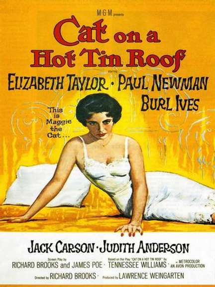 Vibrant Vintage Poster - Cat on a Hot Tin Roof ANONYMOUS Cat on a Hot Tin Roof