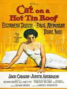 Vibrant Vintage Poster - Cat on a Hot Tin Roof ANONYMOUS Cat on a Hot Tin Roof