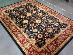 Exquisite Traditional Allover Design Area Rug 8x11