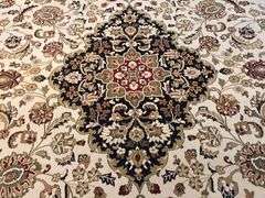 Timeless Detailed Classic Medallion Design  Rug 8x11