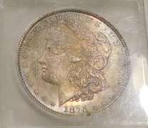 1878-8TF Morgan Dollar VAM-4 ICG MS-64, red toning