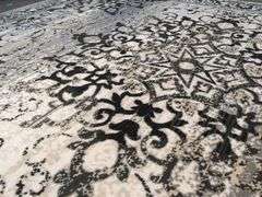 Stunning Trendy  Vintage Medallion Design Rug 8x10