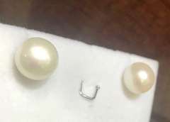 Beautiful Fresh Water Pearl Stud Earrings