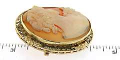 Classic Carved Shell Cameo Brooch