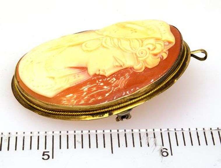Vintage Carnelian Cameo Broach/Pendant in Gold