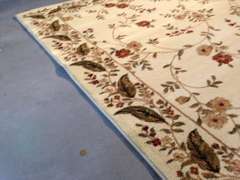 Stunning Contemporary Area Rug 8x11